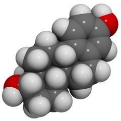 Estradiol: molecular structure (3D)