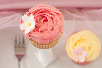 Cupcakes isolated against light background