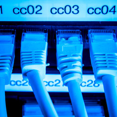 Fototapeta premium network cables