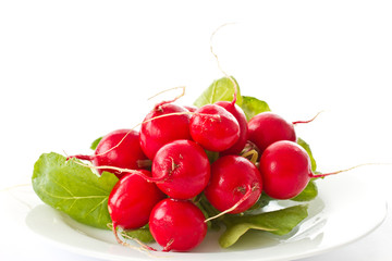 bunch of fresh red radishes