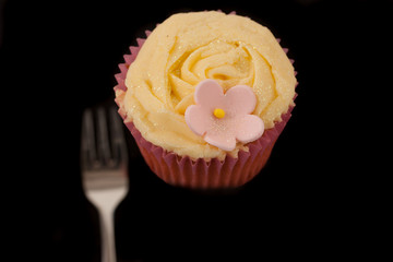 Cupcake isolated against dark background