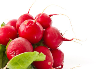 bunch of fresh red radishes