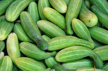 Cucumbers