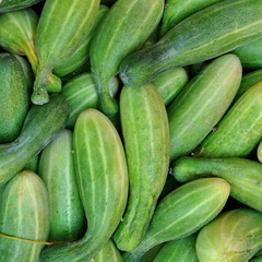Cucumbers