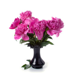 Pink peonies in a vase