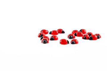 Plastic Ladybirds isolated on white background