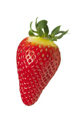 isolated fruit on white,a strawberry