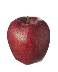 isolated fruit on white,a red apple with drops
