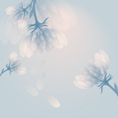 Snow peony / Soft blue flower background