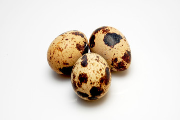 Quail egg