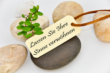 lassen sie ihre sinne verwöhnen