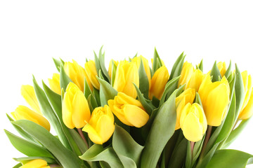 Panele Szklane Podświetlane  Bukiet tulipanów na białym tle
