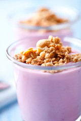 Bilberry Yogurt with Granola