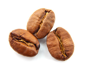 Three coffee beans isolated