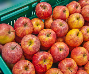 Red apple