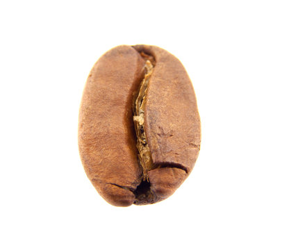 Coffee bean isolated