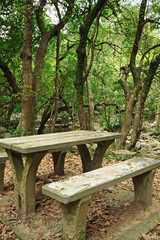 Picnic place in forest