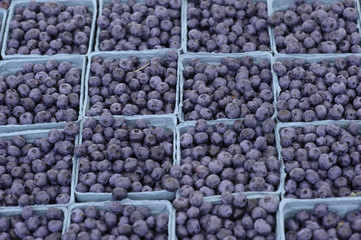 Farmer's Market in village square Chagrin Falls, Ohio