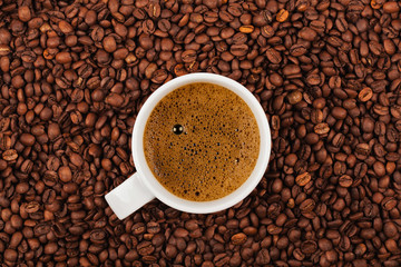 Cup of coffee on coffee beans