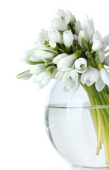 beautiful bouquet of snowdrops in transparent vase isolated