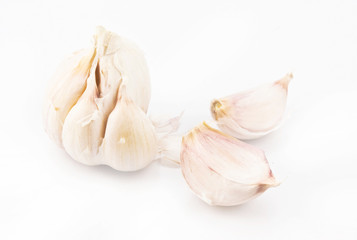 Garlic isolated on white