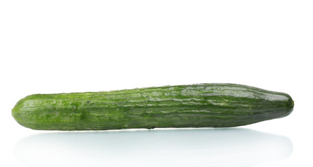 long cucumber isolated on white