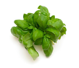 basil leafs