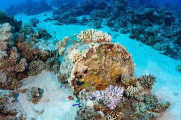 Barrel of oil underwater