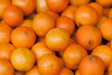 Oranges in market stall