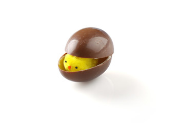 Chick in the easter egg