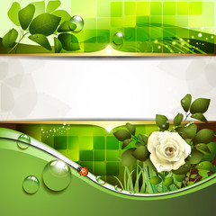 Green background with rose and drops of water