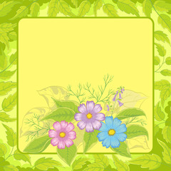 Background, flowers cosmos and frame