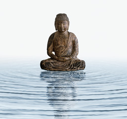 Wooden Buddha in water