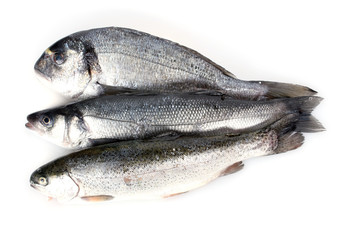 Fresh fishes isolated on white