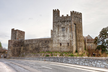 Fototapeta na wymiar Cahir castle in county Tipperary - Ireland.