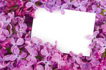 Lilac flowers with white card
