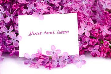 Lilac flowers with sample text