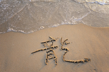 word mean dragon on tropical beach sand