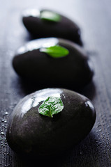 zen stones and leaves with water drops