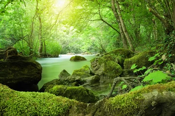 Gordijnen De rivier in het bos © Sunny Forest