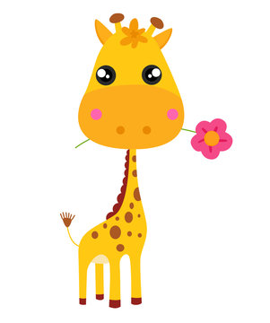 Baby giraffe and flower. Vector illustration.