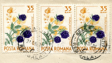 Vintage romanian postage stamps "Blackberry"
