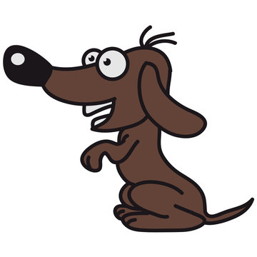 dog_3c
