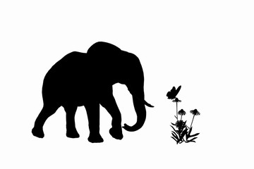 elefant and butterly