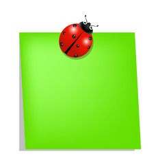 Fototapeta premium Ladybird holding green note paper