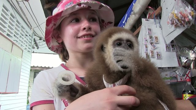 rencontre avec un gibon