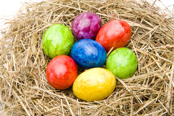 Bunte Eier im Nest