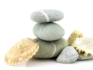 empilement de galets et coquillages
