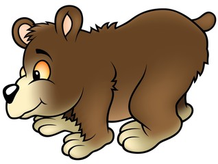 Bear - Cartoon Illustration