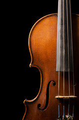 Violin close up